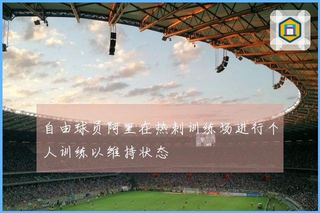 自由球员阿里在热刺训练场进行个人训练以维持状态
