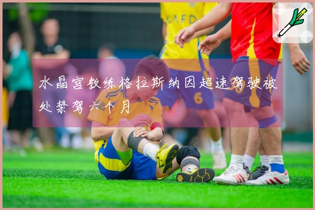 水晶宫教练格拉斯纳因超速驾驶被处禁驾六个月